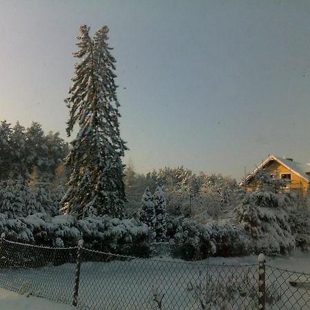 Gosciniec Nad Stawem Villa ชทิตโน ภายนอก รูปภาพ